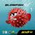 ANDRO Blowfish ANDRO Blowfish